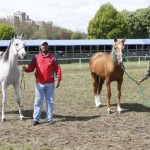 عاهل البحرين يهدي ملكة المملكة المتحدة وشمال ايرلندا رأسين من الخيل العربية البحرينية الاصيلة