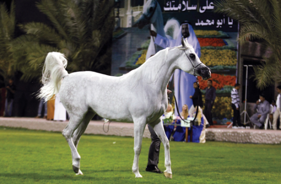 Screen Shot 2012-01-15 at 10.49.10 AM