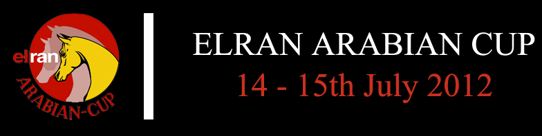 Screen Shot 2012-07-14 at 8.04.59 PM