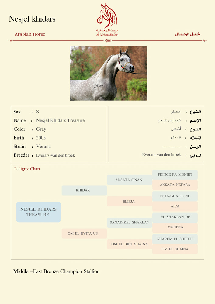 Nesjel Khidars Treasure