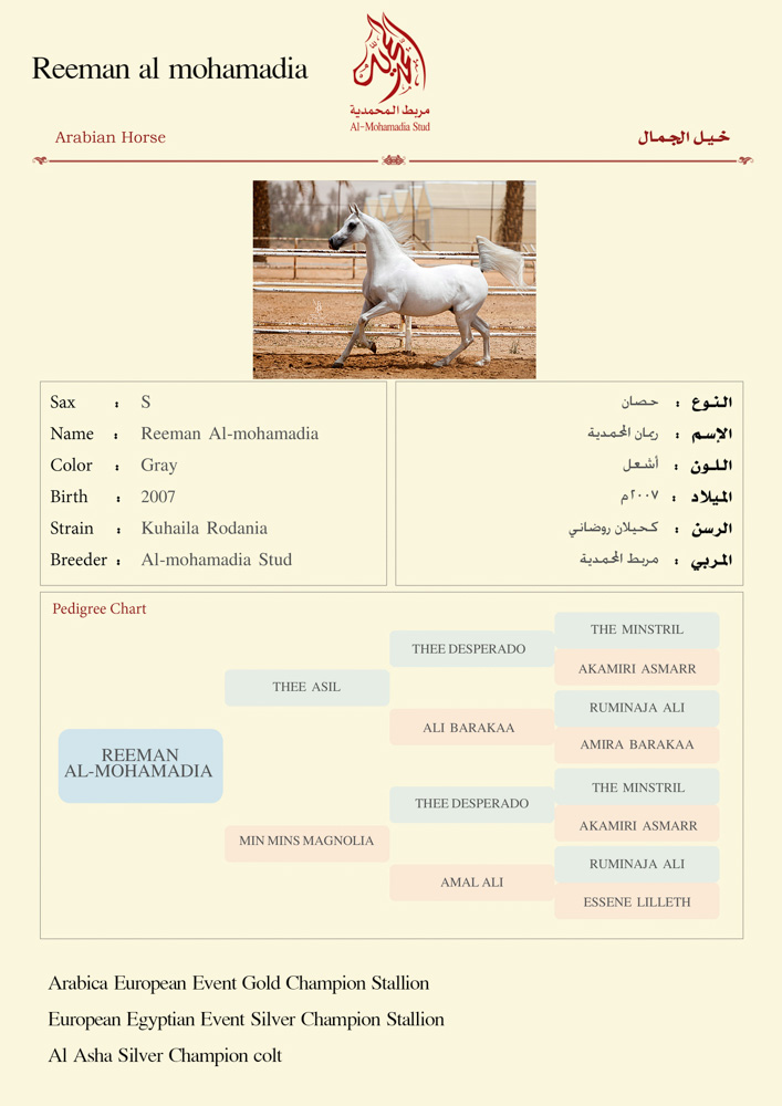 Reeman  Al-mohamadia