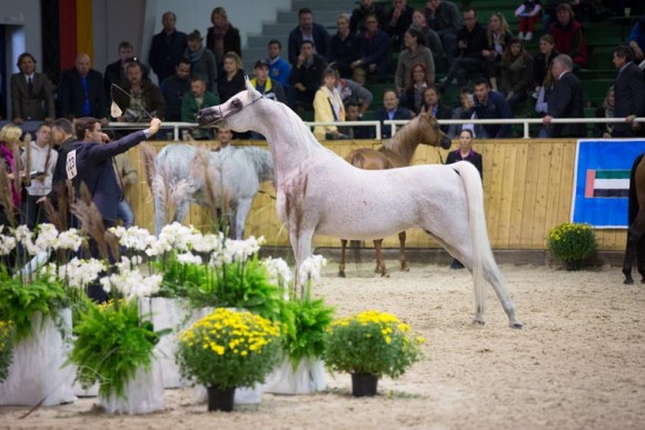 كأس كل الأمم آخن 