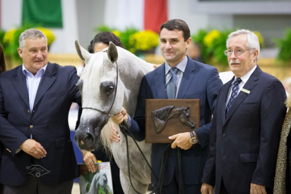  كل الأمم آخن