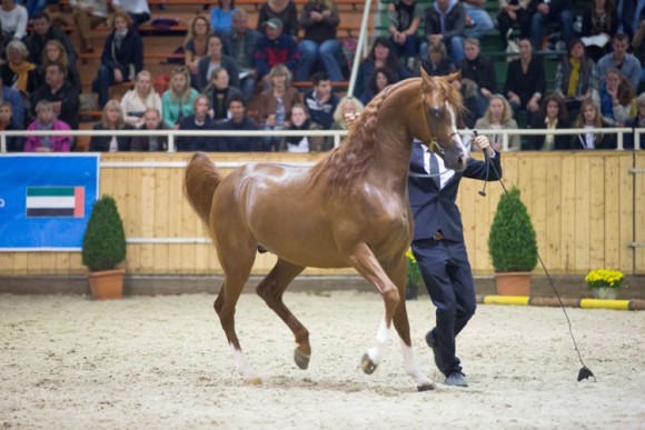 كأس كل الأمم آخن 