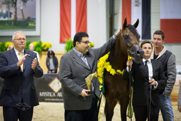 كأس كل الأمم آخن 