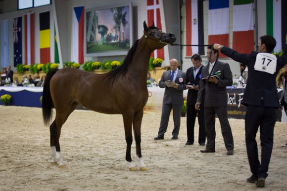  كل الأمم آخن