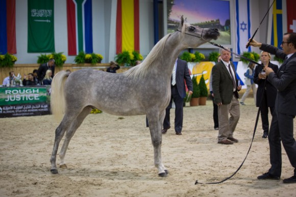  كل الأمم آخن