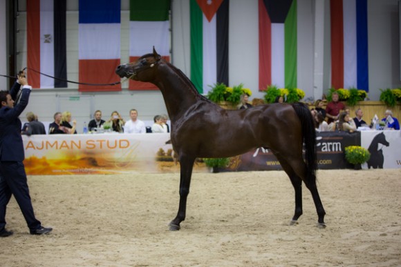  كل الأمم آخن