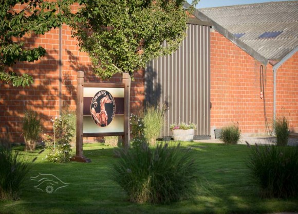 زيارة مزرعة شوكنز عام