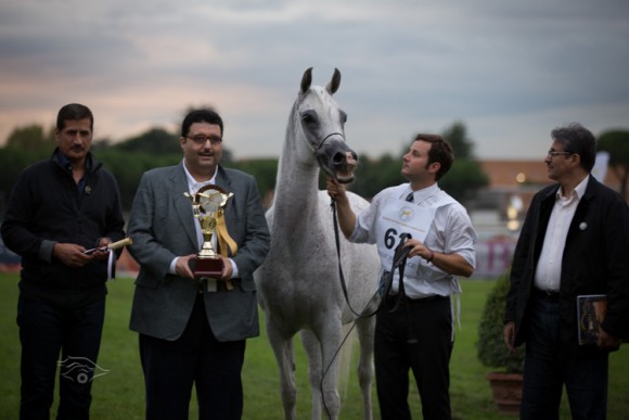 الفرس/ السيدة البطلة البرونزية 