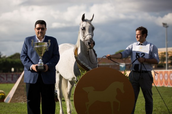 الفرس/ السيدة البطلة البرونزية ملك مربط عذبه