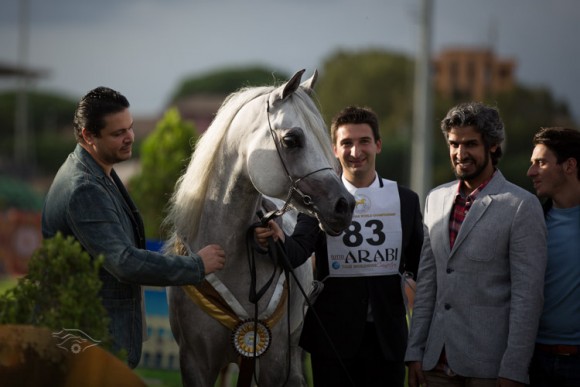 بطولة العالم  السلالة المصرية