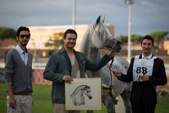 بطولة العالم  السلالة المصرية