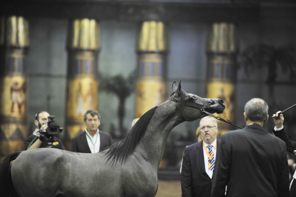 الأوربية أوربا