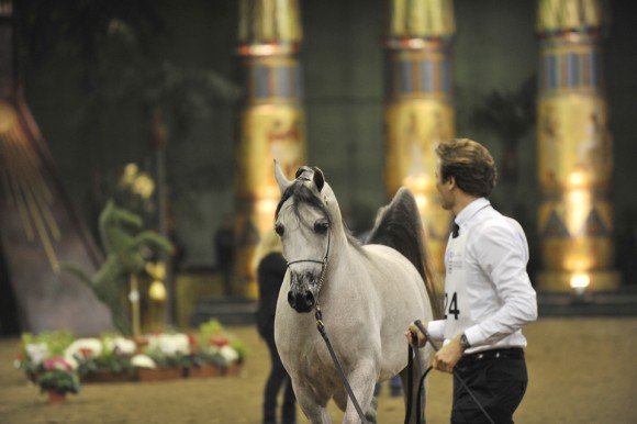 البطولة الأوربية