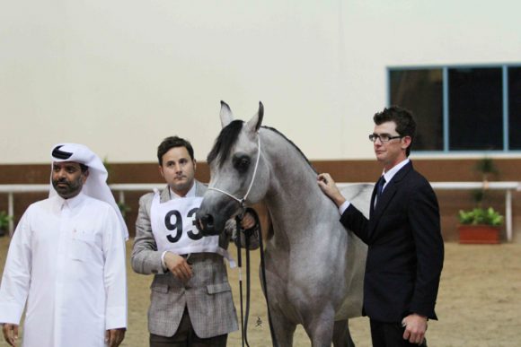 بطولة قطر للأهالي IMG_1861 copy