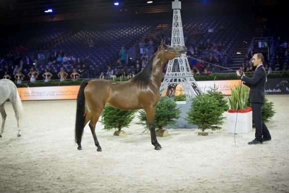 كأس العالم باريس  ٢٠١٣ SSS_4863