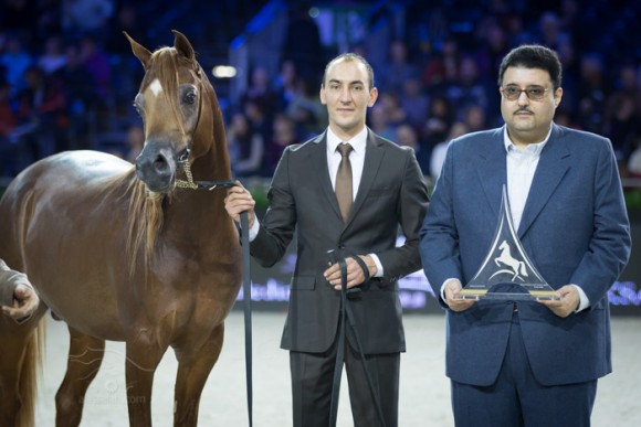 كأس العالم باريس  ٢٠١٣ عبدالعزيز بن أحمد SSS_5598