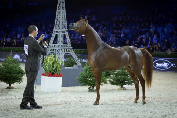 كأس العالم باريس  ٢٠١٣ SSS_5603