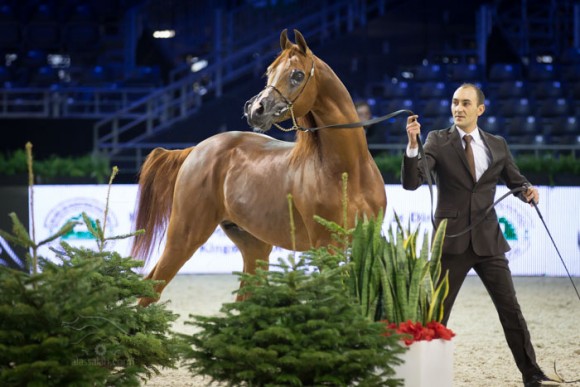 إيدن سي كأس العالم SSS_5942