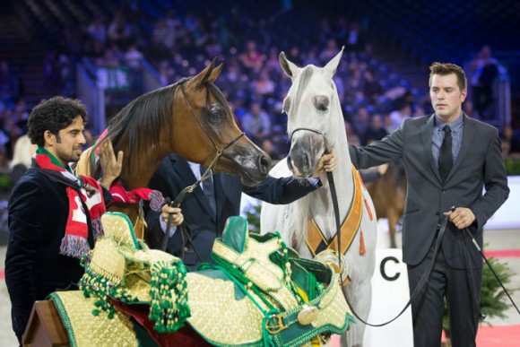 كأس العالم باريس  ٢٠١٣ SSS_6466