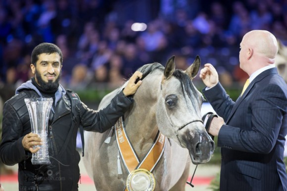 كأس العالم باريس  ٢٠١٣ سلطان السويلم SSS_6481