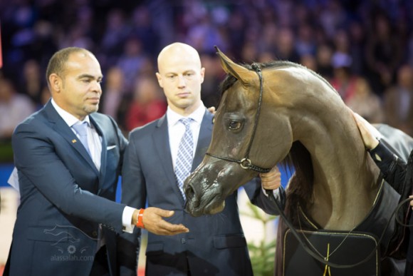 بينيسيما SSS_6558