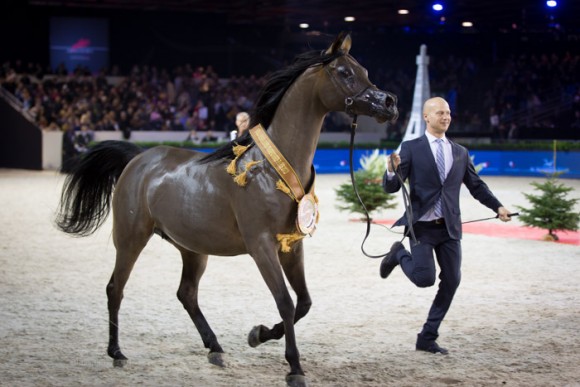 بينيسيما SSS_6585