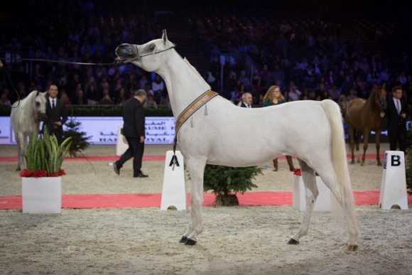 شنقهاي باريس SSS_6625