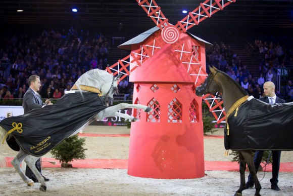 كأس العالم باريس SSS_7096