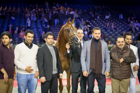 كأس العالم باريس ٢٠١٣ ايدن سي SSS_7197