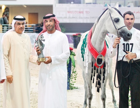 الشارقة 2014355 (2)