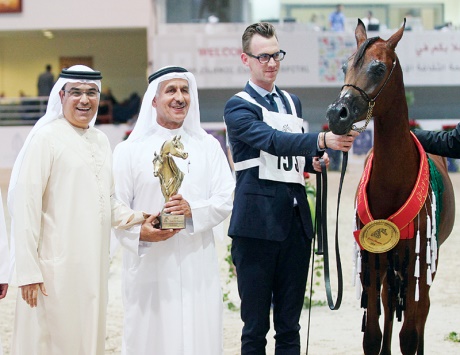 الشارقة 2014355