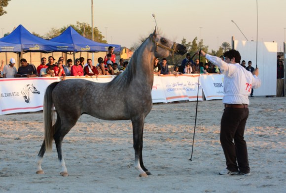 البحرين ٢٠١٥