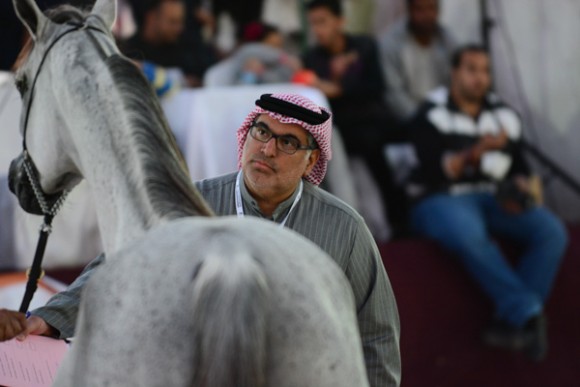 البحرين ٢٠١٥