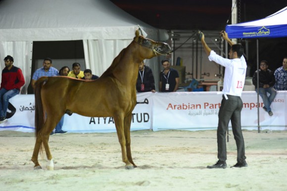 البحرين ٢٠١٥