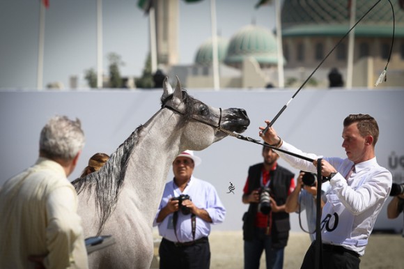 IMG_3948قطر ٢٠١٥