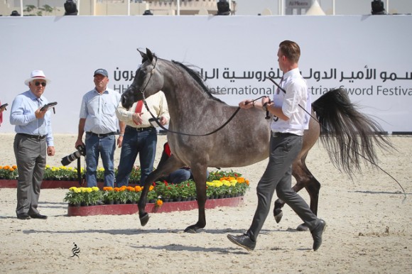 IMG_4034قطر ٢٠١٥