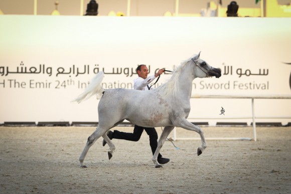 IMG_4375قطر ٢٠١٥