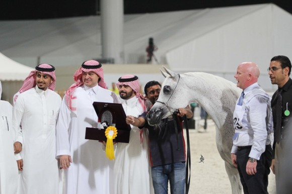 IMG_4914قطر ٢٠١٥