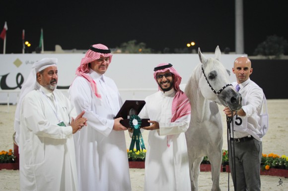 IMG_4941قطر ٢٠١٥