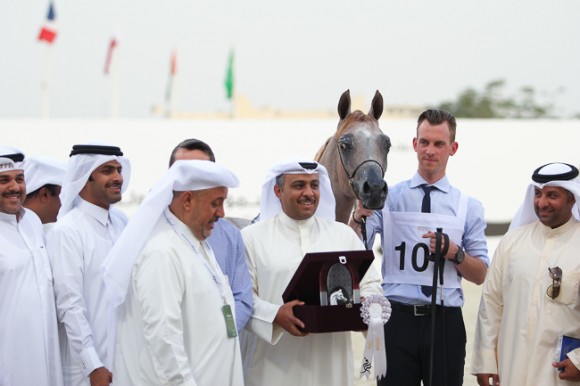 IMG_5177قطر ٢٠١٥