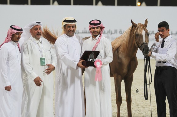 IMG_5348قطر ٢٠١٥