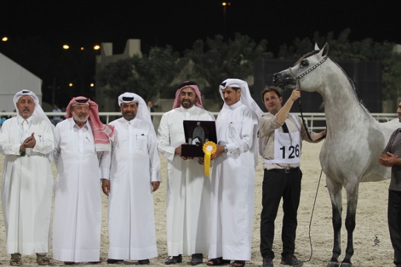 IMG_5685قطر ٢٠١٥