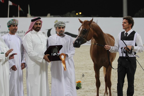 IMG_5691قطر ٢٠١٥