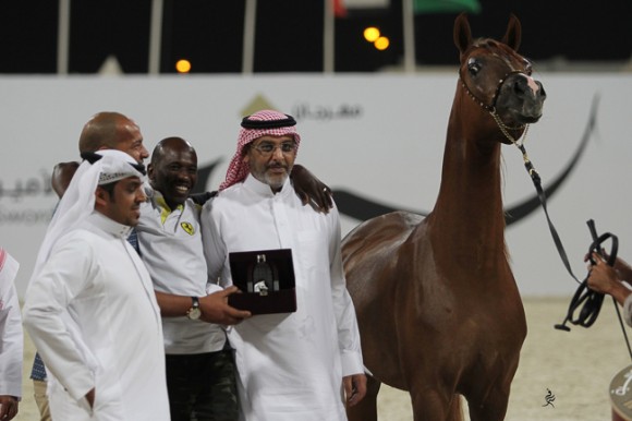 IMG_5703قطر ٢٠١٥