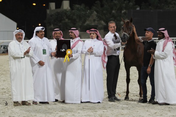 IMG_5869قطر ٢٠١٥