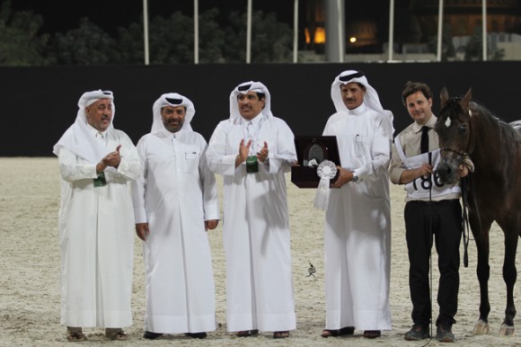 IMG_5872قطر ٢٠١٥