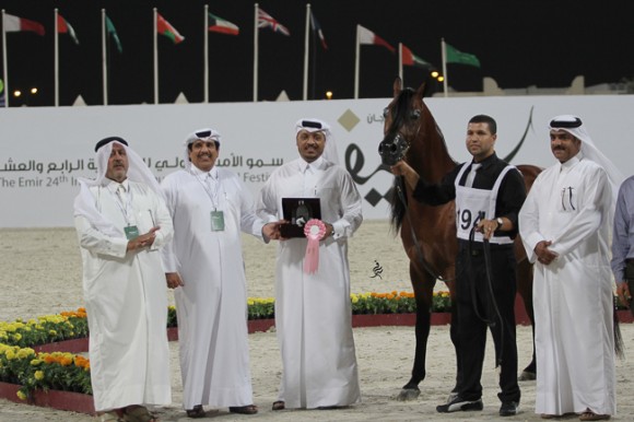 IMG_5887قطر ٢٠١٥