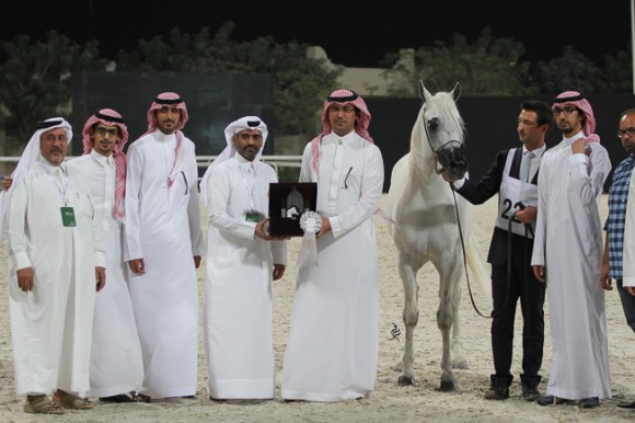 IMG_6337قطر ٢٠١٥